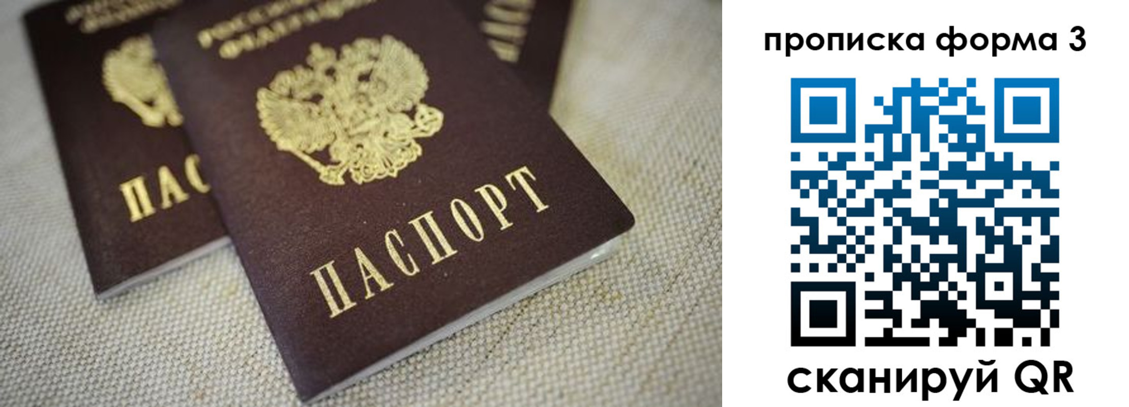 прописка поиск в Чайковском